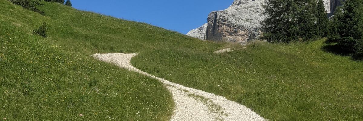 Geschungener Schotterweg durch Sommerwiese unter blauem Himmel