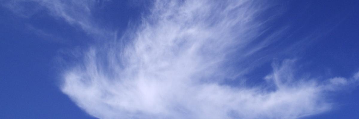Wolkentaube