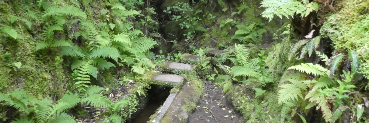 Schmaler Weg