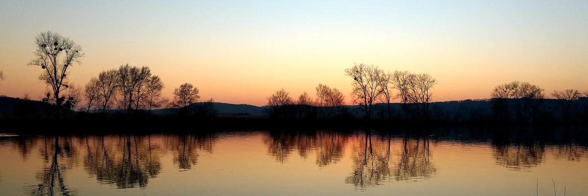 Sonnenaufgang am Fluss