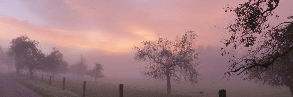 Morgenstimmung
