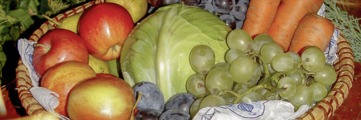 Erntekorb