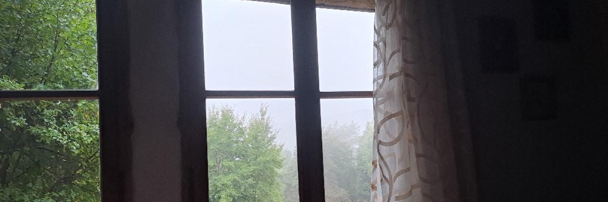 Blick durch ein Fenster in den Novembernebel