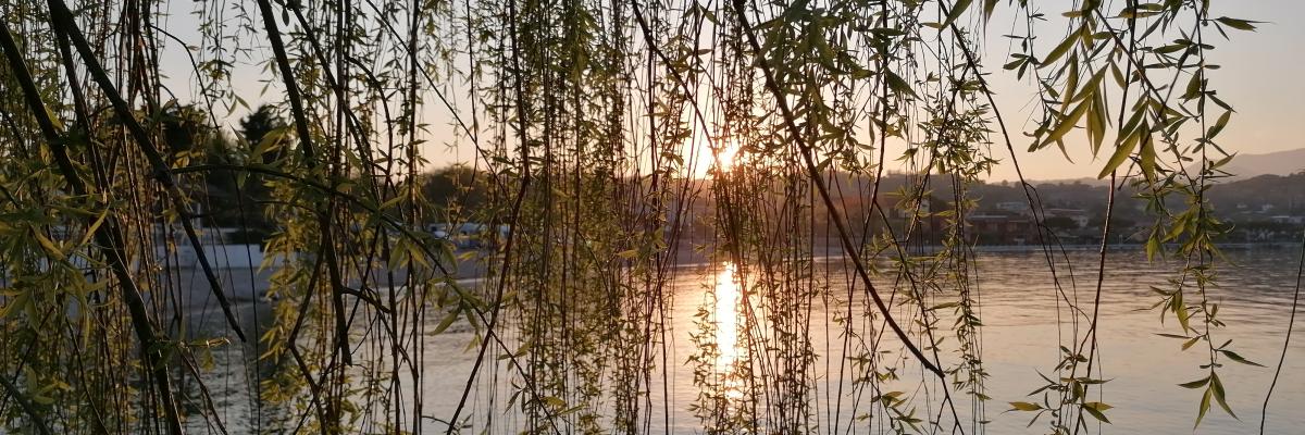 Abendstimmung am See