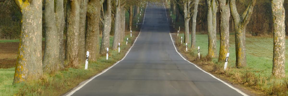 Gerade Landstraße mit Bäumen an beiden Seiten 